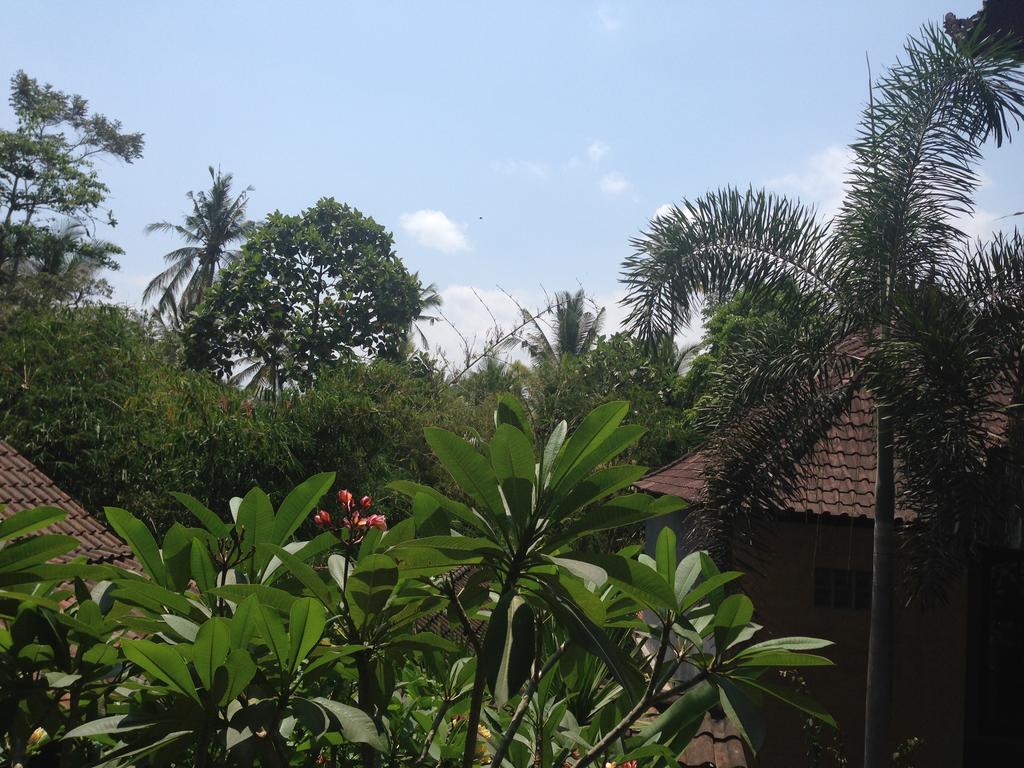 Ubud Rooms B&B Pokój zdjęcie
